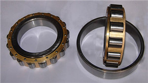 NU308E Cylindrical Roller Bearing 40×90×23 mm