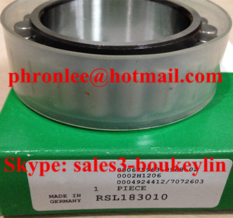RSL182204-A Cylindrical Roller Bearing 20x41x18mm