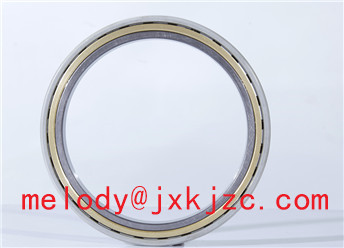 NU419ECM/C3VL0241 insulated bearing