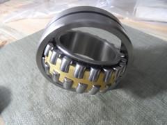 Short cylindrical roller bearing NU19/500