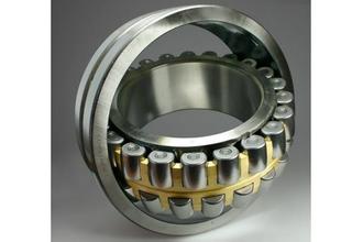 BS2-2208-2CS bearing