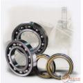 6319 6319-ZZ 6319-2RS deep groove ball bearing