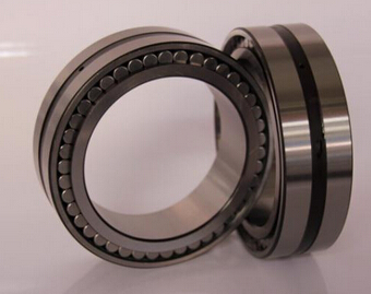 SL014830 Cylindrical Roller Bearing
