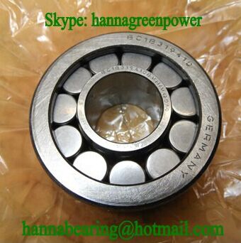 BC1B320784 Cylindrical Roller Bearing for Hydraulic Pump 40*80*23mm