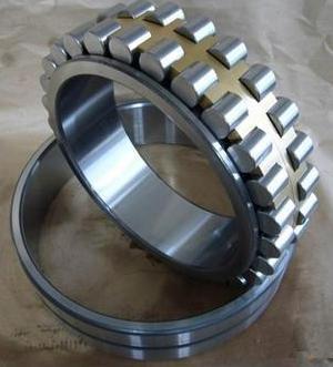 NN3020 bearing