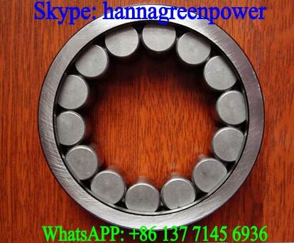 Reducer Bearing DC-602-300 Cylindrical Roller Bearing 30x58x19.3mm