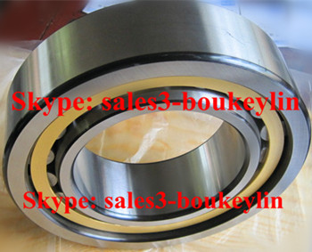 F-800480.ZL Cylindrical Roller Bearing 380x620x194mm