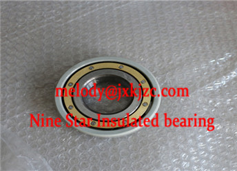 6038M/C3J20AA insulated bearing