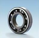 6010 Metric Ball Bearings