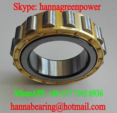 502202E Cylindrical Roller Bearing 15x30.3x11mm