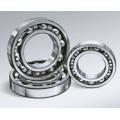 16010 16010-ZZ 16010-2RS bearing