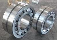 Spherical roller bearings F-803028.PRL