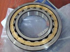 NU304 Cylindrical roller bearings chrome steel