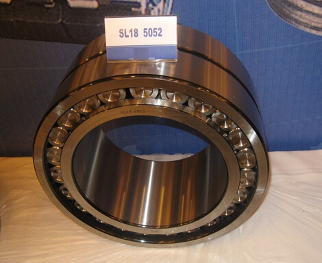 SL024880 Cylindrical Roller Bearing Chrome Steel