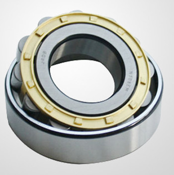Contemporary best selling cylindrical roller bearing n222e