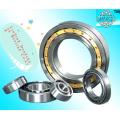 chrome steel cylindrical roller bearing NU304
