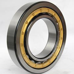 NU219 Cylindrical roller bearing 95x170x32mm