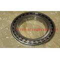 Cylindrical Roller Bearings NUP313 (192313)