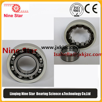 6219mc3 Insulated bearings 95x170x32mm