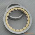 NU19/1250 cylindrical roller bearing