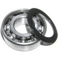 Competitive Chrome Steel Ball Bearings 6205ZZ/2RS