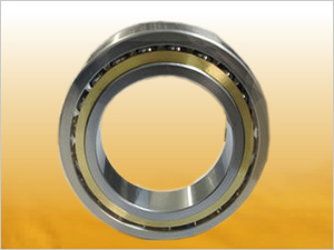 HSS7000 bearing