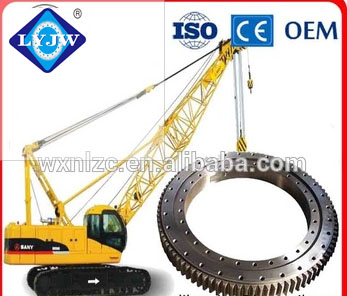 EX300-1 slew bearing for crane