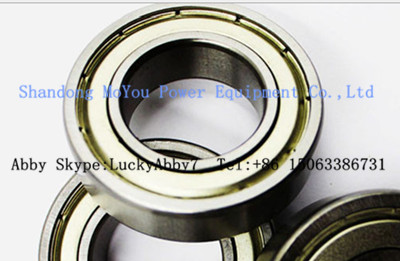 FAG 6028 Bearings