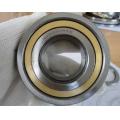 Cylindrical Roller Bearing 21306CCK/W33