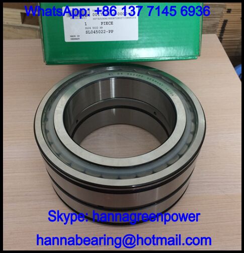 SL04130-PP Double Row Cylindrical Roller Bearing 130x190x80mm