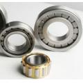 NF 206 cylindrical roller bearing