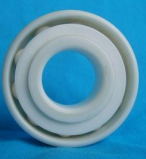 16021 Ceramic bearing
