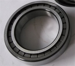 NJG2336VH Single-Row Full Complement Cylindrical Roller Bearing