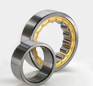 SSNUP220 bearing