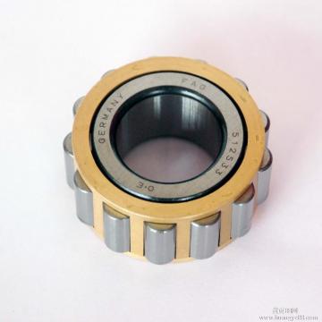 25UZ850611T2 Eccentric ball bearing