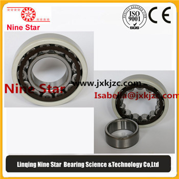 nu219c3 Insulated bearings 95x170x32mm