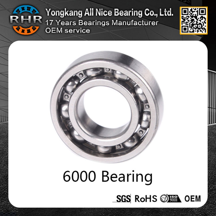 6000 bearing