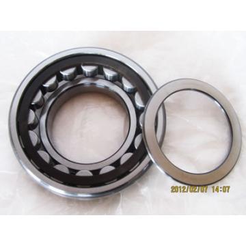 NU2306 Cylindrical Roller Bearings