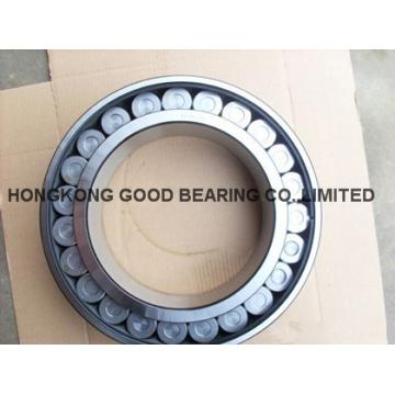 SL 192305 Cylindrical Roller Bearing