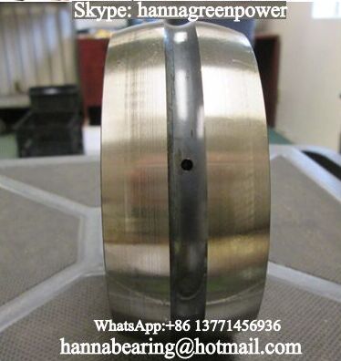 SL06036 Cylindrical Roller Bearing 180x280x120mm