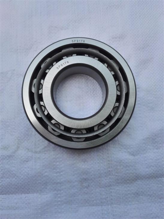 5P9176 cylindrical roller bearing