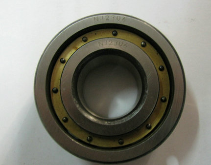 N2315EM1C3 Cylindrical Roller Bearing 75x160x55mm