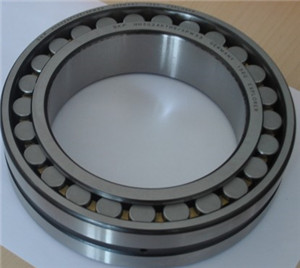 NNC4864V Double Row Full Complement Cylindrical Roller Bearing