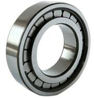 SL182204 Cylindrical Roller Bearing 20x47x18mm