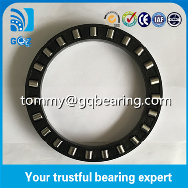 81102TN Thrust Cylindrical Roller Bearing and Cage Assembly