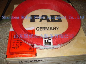 FAG 29252E.MB Bearings
