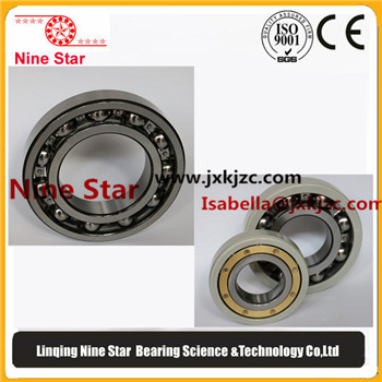 6016MC4VL0241 Insulated bearings 80x125x22mm
