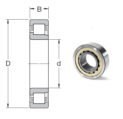 NUP 2212 ECP Cylindrical Roller Bearings 60*110*28mm