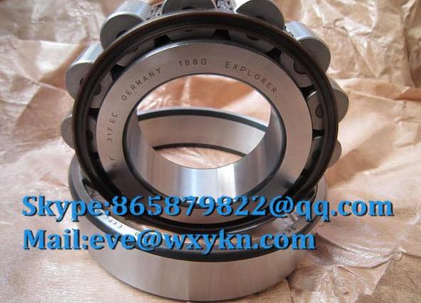 N317ECP bearing 85x180x41mm