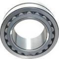 Cylindrical Roller Bearing NU1004